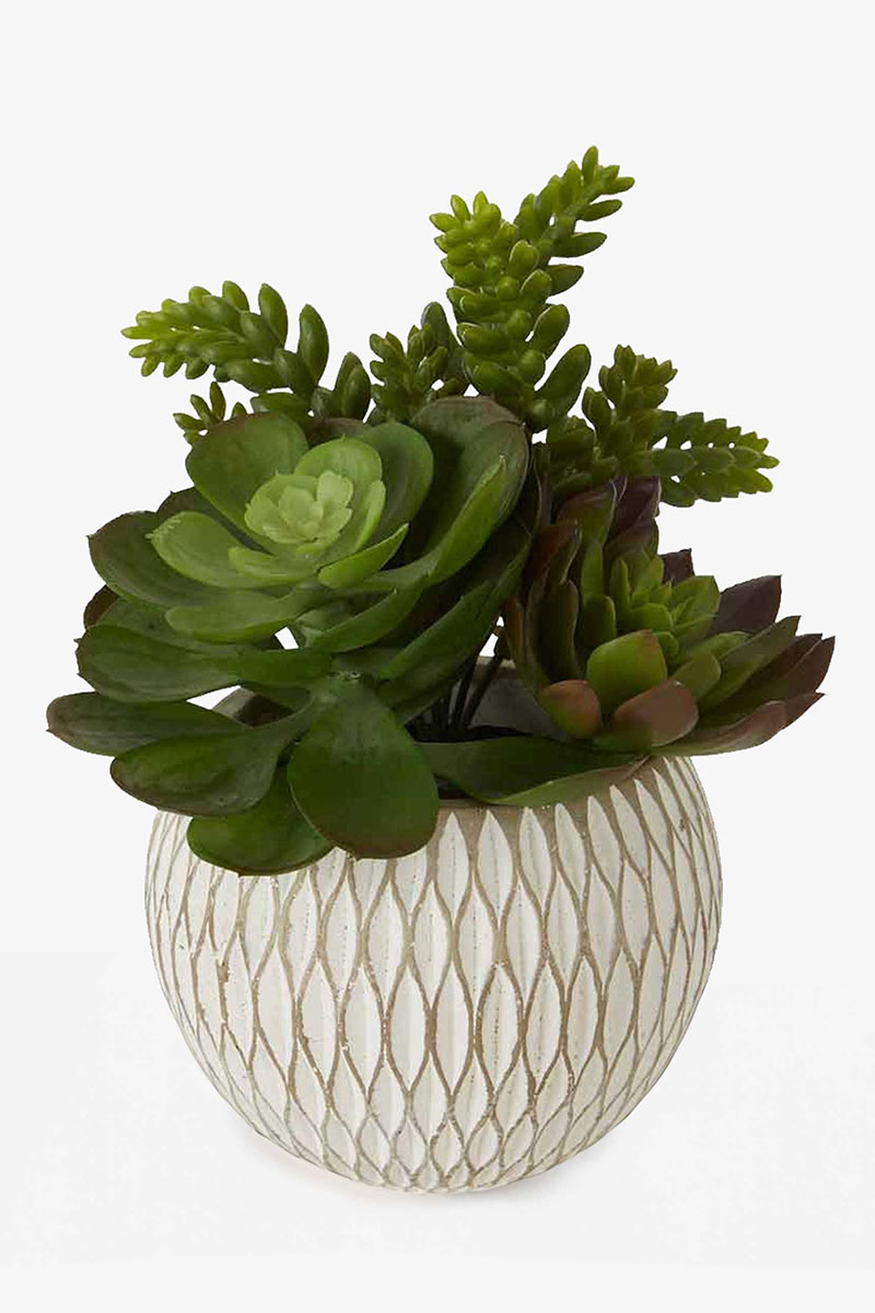 Faux Mixed Succulents in Ceramic Pot