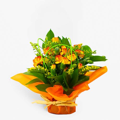 Mini Sunrise Posy Pot