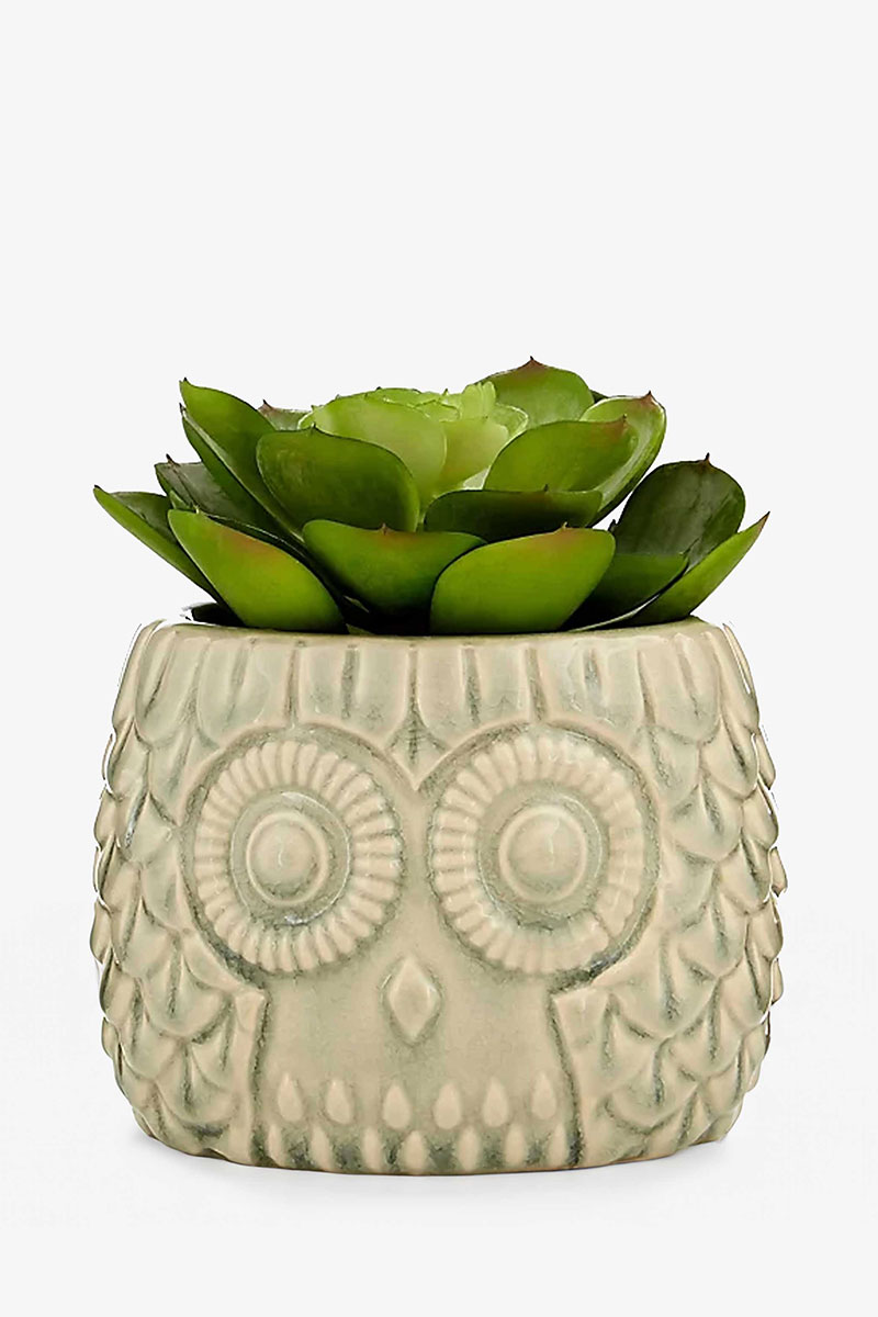 Large Faux Succulent in Grey Owl Pot